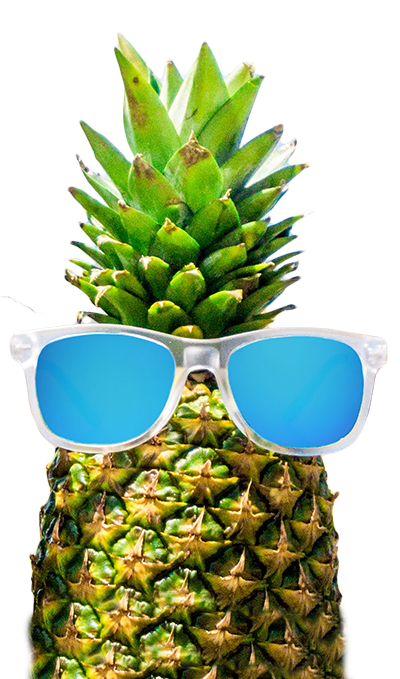 classic sunglasses