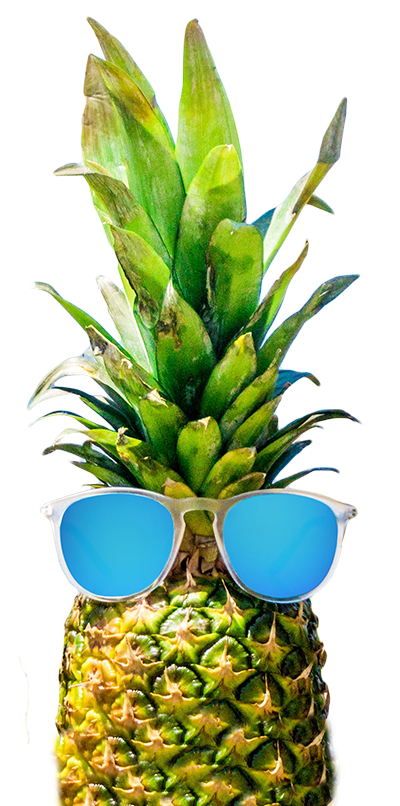 round sunglasses