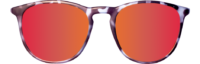 FRONT BLACK TORTOISE COSMIC FRONT BLACK TORTOISE COSMIC