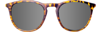 RONT YELLOW TORTOISE SILVER RONT YELLOW TORTOISE SILVER