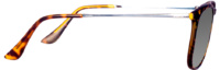 SIDE YELLOW TORTOISE SILVER SIDE YELLOW TORTOISE SILVER