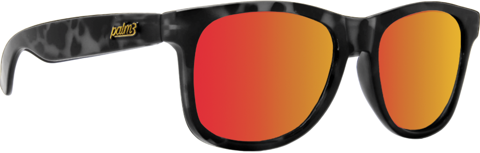 BLACK TORTOISE COSMIC SUNGLASSES