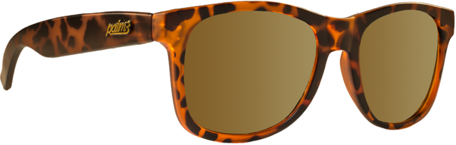 TORTOISE GOLD SUNGLASSES