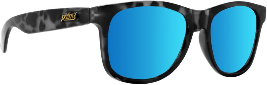 BLACK TORTOISE POLARIZED SKY CLASSIC