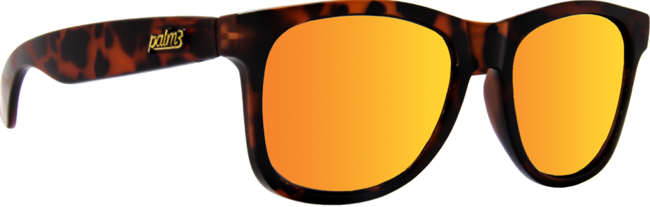 TORTOISE POLARIZED SUNSET CLASSIC